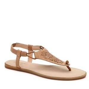 Sperry Women's Calla Jade Sandal